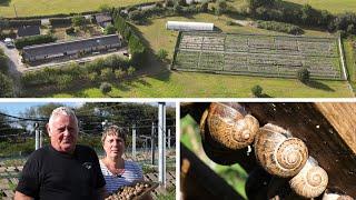 1 200 000 escargots | Exploitation à reprendre en Mayenne