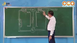 SƠ ĐỒ CẤU TRÚC VÀ VAI TRÒ CHỨC NĂNG CỦA TỪNG BỘ PHẬN TRONG DOANH NGHIỆP | Thi Mitaco