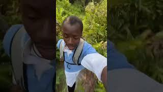 Strange Alien Creature in the forests starts chasing man from? #extraterrestrial #uap #shorts #memes