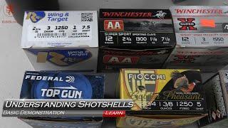 Understanding Shotgun Ammo