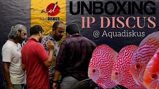 Unboxing world's best discus | IP DISCUS | Anil D'Souza | Aquadiskus | discus fish | discus ninja