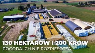 Od 4:30 na nogach, 130 hektarów i 200 sztuk bydła | Rolnik na Czasie