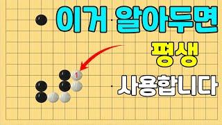 [초반50수] 평생 사용할 밀어버리기 한 방! (화점정석)