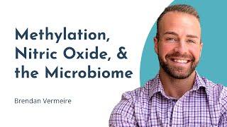 The Connections: Nitric Oxide, Methylation, and the Microbiome in Illness