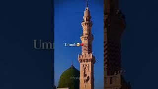 Al-Hateem Haj Umrah Tours & Travels/ 9702806479