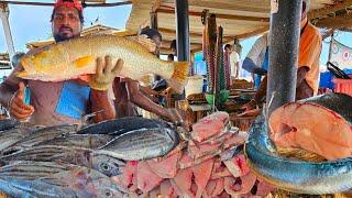 WoW ATTRACTIVE!! Biggest Street Fish Cutting Fish Market In Sri Lanka EXPERT MASTER FISH CUTTING