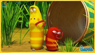 LARVA SEASON 4 EPISODE 197 - SMToon Asia