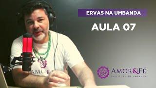 CURSO DE ERVAS NA UMBANDA | AULA 07 - ORÉGANO