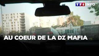 Au coeur de la DZ mafia｜TF1 INFO