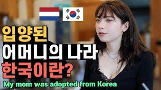 My mom was adopted from Korea and now I'm living in Korea! Amber from the Netherlands [Creative Den]