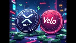 OUR TIME IS HERE! VELO + XRP  | The Deeper Dive