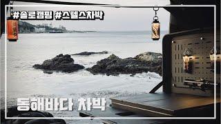 [#83] 동해바다 스텔스차박｜물회｜모하비차박｜차박캠핑｜Car Camping