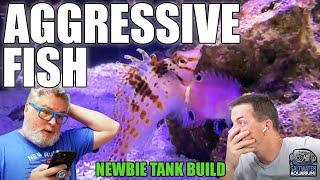 AGGRESSIVE Fish - How To Identify & Prevent Aggression In Your Saltwater Tank - Newbie Tank Build