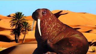 YouTube Kacke | HÄSSLICHE TIERE