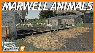 ANIMALS ON MARWELL MANOR FARM | Feeding, Cleaning, Production, Etc  | FS19