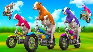 5 Giant Color Cows Race to Victory in Hilarious Bike Challenge! | Funny Cow Cartoons