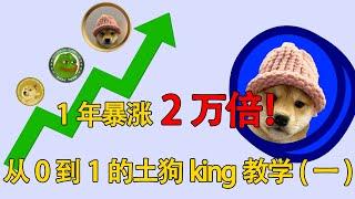 1年暴涨2万倍？从0-1的土狗教学，手把手教你成为土狗king（一）