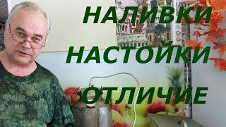 Наливки и настойки. В чем отличие? / Самогоноварение/ Самогон Саныч