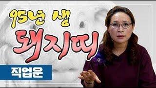 2021년 돼지띠운세 (27세, 95년생 운세) 진로 고민이라.. 흠..