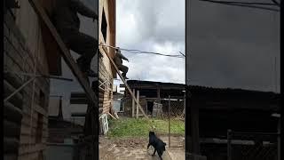Проект не утвержден