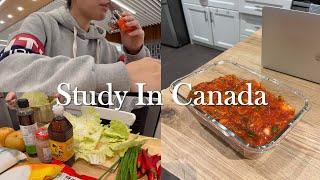 [ 캐나다 토론토 컬리지 브이로그 ] 먹고 공부하고..김치 만들어 먹는 유학생 일상