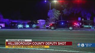 'Monster': Tampa 19-year-old kills parents, shoots deputy in shootout, sheriff says
