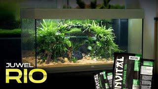 Setting up a Juwel Rio aquarium with INVITAL Japanese soil