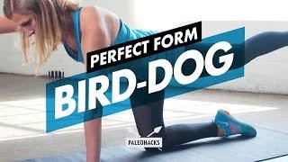 How to Do Bird-Dogs + Mistakes & Variations