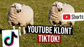 YouTube Shorts: Der TikTok "Klon"