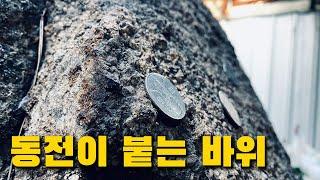 Rock with a coin in Korea