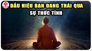 Kỷ Nguyên Của Sự THỨC TỈNH TÂM LINH ĐÃ ĐẾN - Hãy Nắm Bắt Để Thay Đổi Cuộc Đời| BA Universe