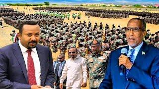 Ethiopia Oo Muuse Biixi Ciidan U Tababaraysa Saddex Qolo U Socdo Harti, Garxajis iyo Samaroon....