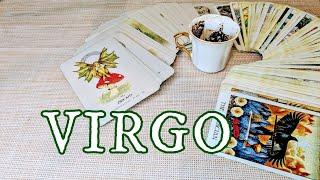 VIRGO ︎ Huge Changes Coming in Fast! MARCH 24th-30th