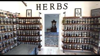 The Best Organic Herb Shop in Florida - Herbs & Owls