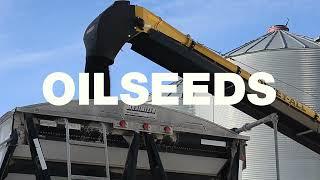 Convey-All 1650-TL Oilseed Series Conveyor | Flaman Agriculture