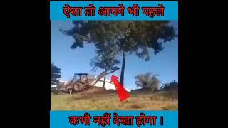 jcb vs tree
