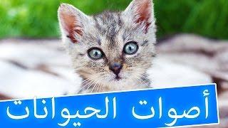 انشودة اصوات الحيوانات رائعة للاطفال تعليمية