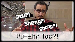 PU-ERH Tee: SHENG oder SHOU?! | Zubereitung und Tipps