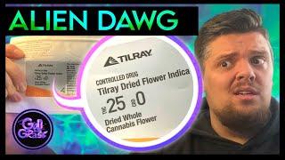 Tilray Alien Dawg  Medical Cannabis  Review