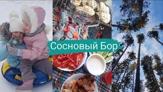 Vlog СОСНОВЫЙ БОР