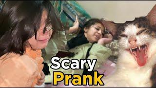 Cat prank with All Family  | Arfa or Atifa ka ro ro bura haal  | Atifa Cookie