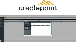 Creating Groups in Cradlepoint Netcloud Manaqger