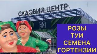 #ДНЕПР САДОВЫЙ ЦЕНТР В ЕПИЦЕНТРЕЦеныРОЗЫ,ХВОЙНИКИ, ТУИ СЕМЕНА.ОБЗОР ДЕЛИТАНТА)
