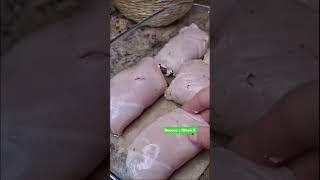 Рецепт куриных рулетов с сыром еда кухня вкусно с Юлей Л #рецепты