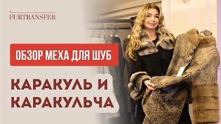 Обзор меха для шуб из каракуля и каракульчи в Стамбуле