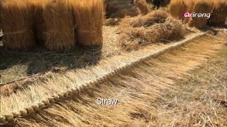 100 Icons of Korean Culture Ep87 Old Future, Thatched Houses