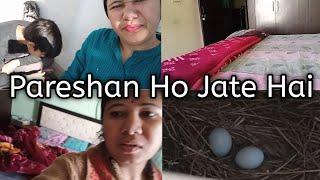 Cleaning Vlog । Daily Cleaning Routine Vlog । Daily Routine Vlog । Daily Vlog । Vlog । Vlog Cleaning