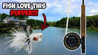 CRAZY Topwater Fly Fishing for BASS!!! | Fly Fishing for Bass with Poppers!