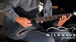 Epiphone Dave Grohl DG-335 Semi-Hollowbody  •  Wildwood Guitars