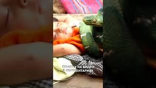 Родился в год Змеи? Это видео специально для тебя!
